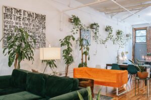 Decoración del hogar Minimalista con plantas